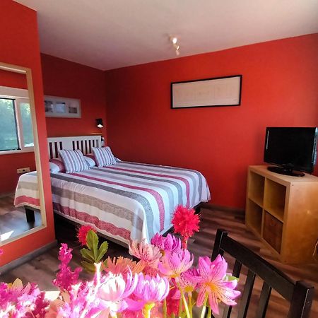 Apartamentos La Casa Del Pintor Кудилеро Стая снимка
